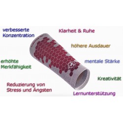 Bild eSmartr Sleeve mit Beschreibung